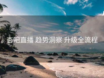 杏吧直播 趋势洞察 升级全流程