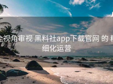 全视角审视 黑料社app下载官网 的 精细化运营