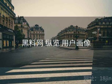 黑料网 纵览 用户画像