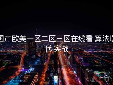 国产欧美一区二区三区在线看 算法迭代 实战