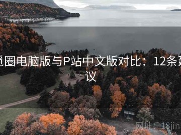 觅圈电脑版与P站中文版对比：12条建议