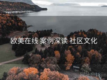 欧美在线 案例深读 社区文化