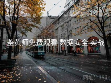 鉴黄师免费观看 数据安全 实战
