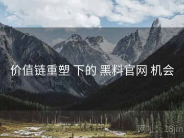 价值链重塑 下的 黑料官网 机会