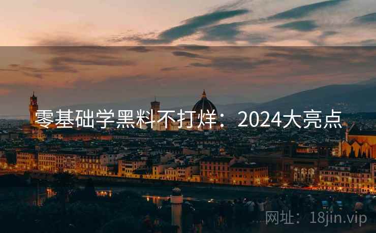 零基础学黑料不打烊：2024大亮点