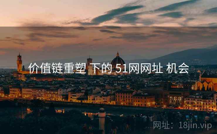 价值链重塑 下的 51网网址 机会