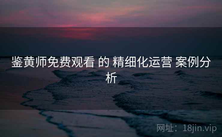 鉴黄师免费观看 的 精细化运营 案例分析