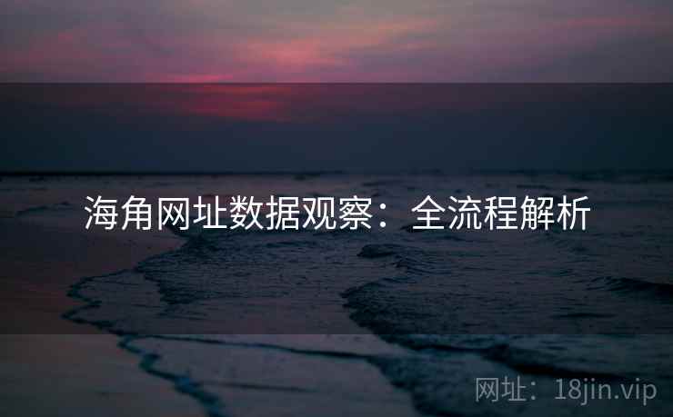 海角网址数据观察：全流程解析