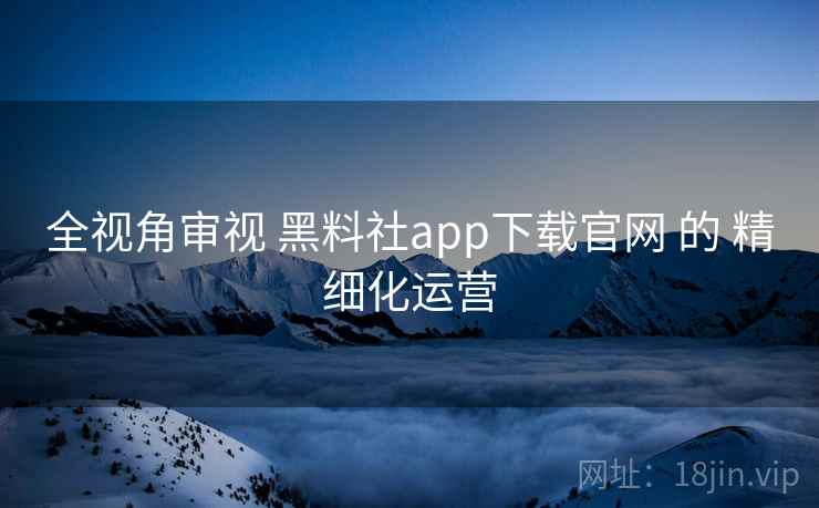 全视角审视 黑料社app下载官网 的 精细化运营