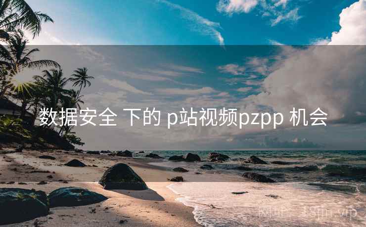 数据安全 下的 p站视频pzpp 机会