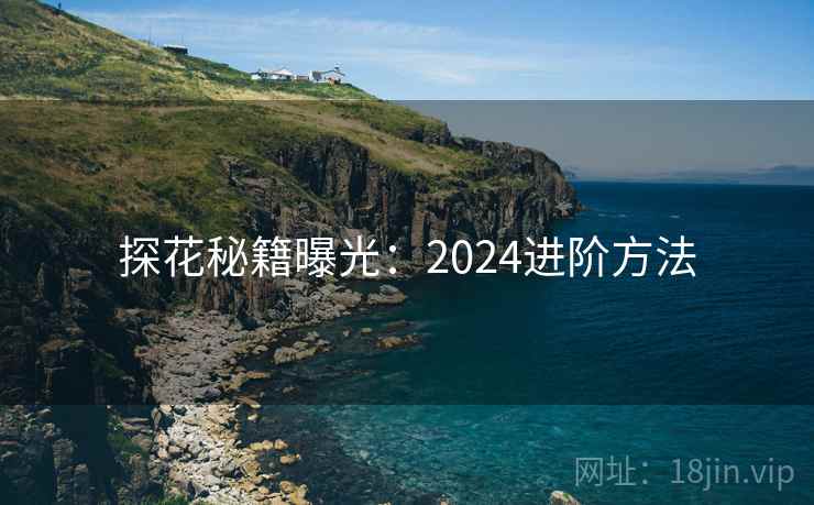 探花秘籍曝光：2024进阶方法