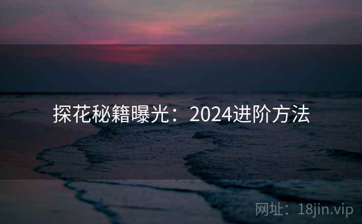 探花秘籍曝光：2024进阶方法