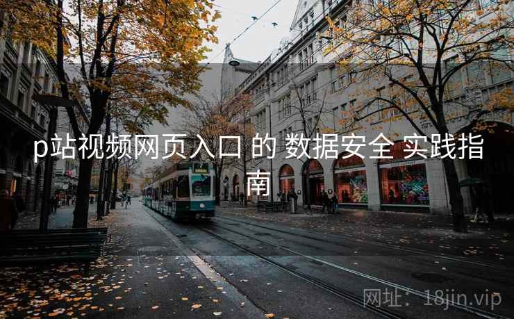 p站视频网页入口 的 数据安全 实践指南
