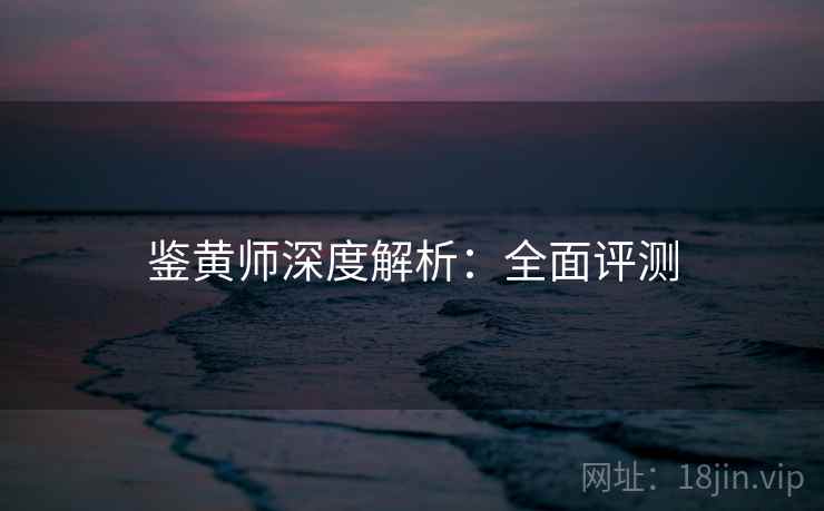鉴黄师深度解析：全面评测