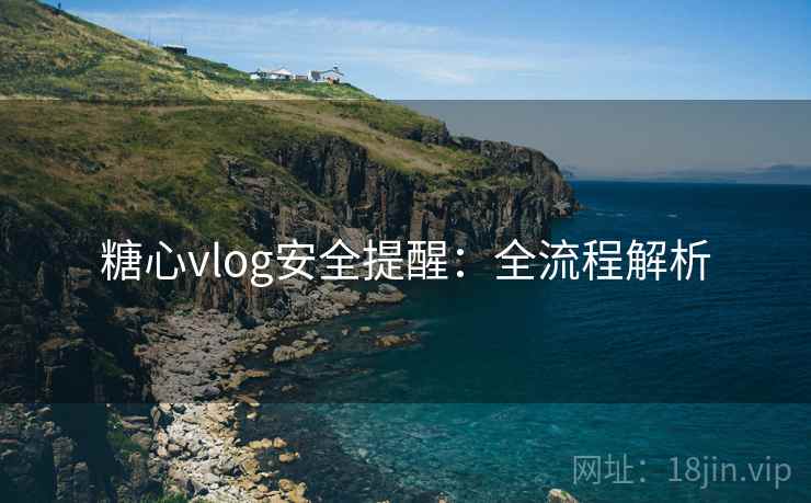 糖心vlog安全提醒：全流程解析