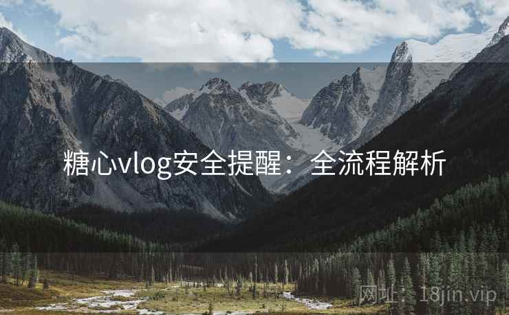 糖心vlog安全提醒：全流程解析