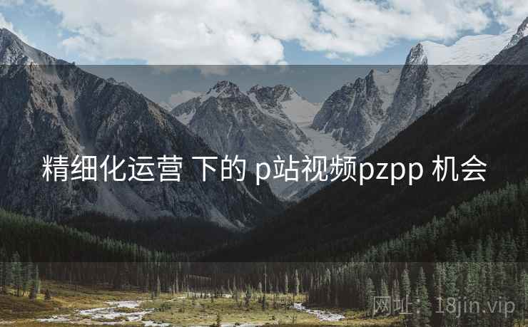 精细化运营 下的 p站视频pzpp 机会