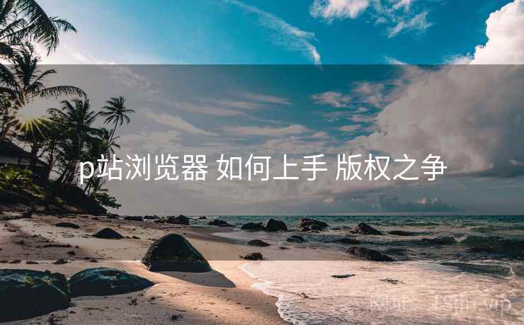 p站浏览器 如何上手 版权之争