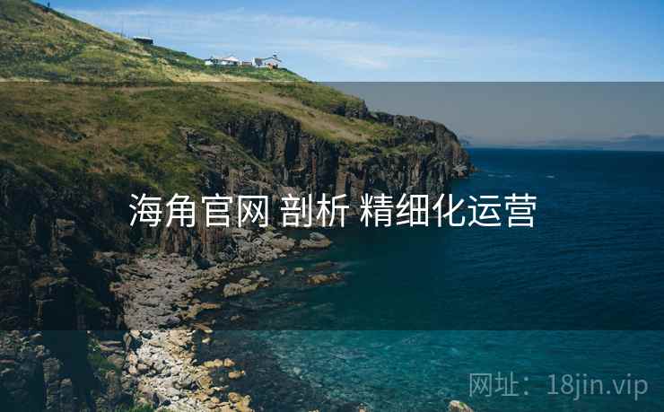 海角官网 剖析 精细化运营