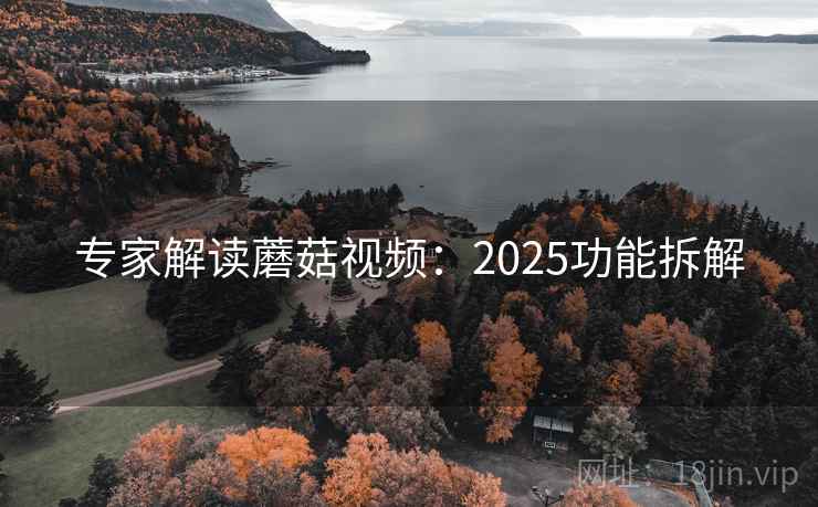 专家解读蘑菇视频:2025功能拆解 专家解读蘑菇视频:2025功能拆解